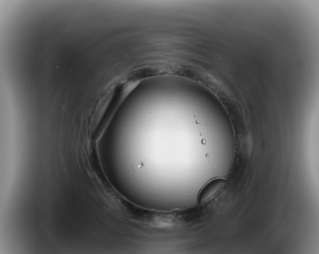 X0000086250757200704051240