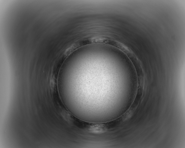 X0000086250761200704051240