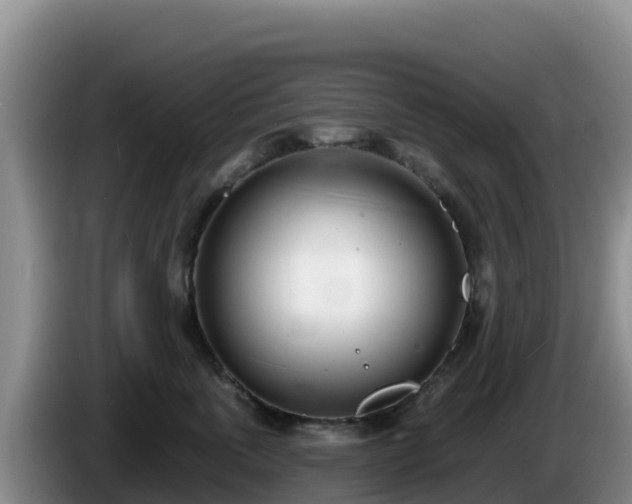 X0000086250763200704051240
