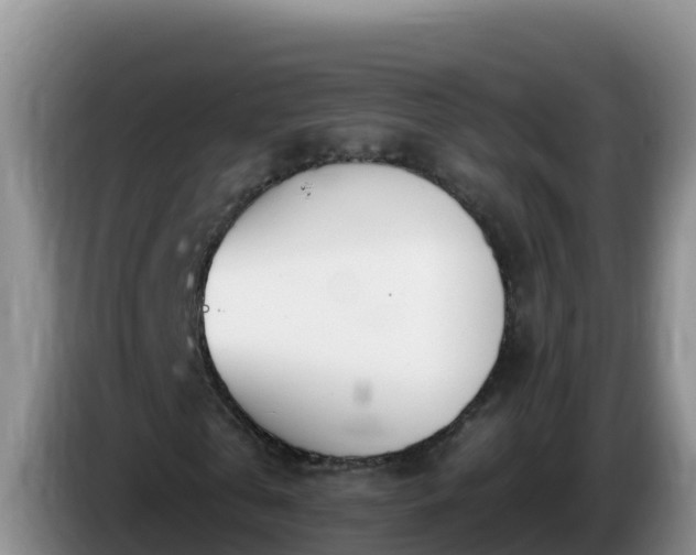 X0000086250769200704051240