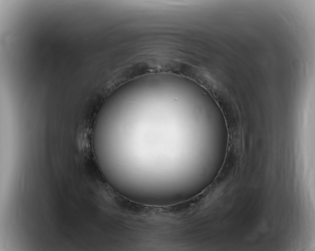 X0000086250770200704051240