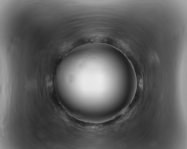 X0000086250771200704051240