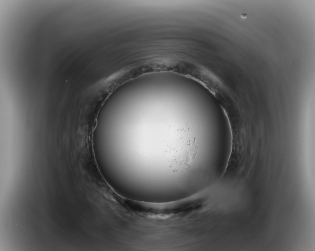 X0000086250773200704051240