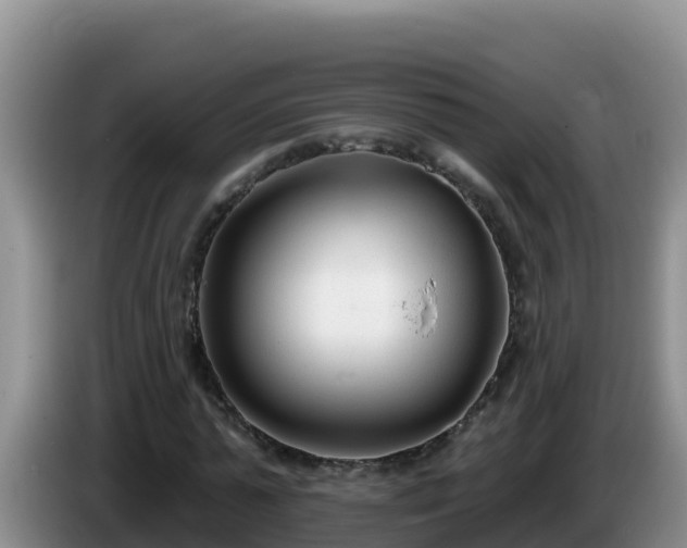 X0000086250775200704051240