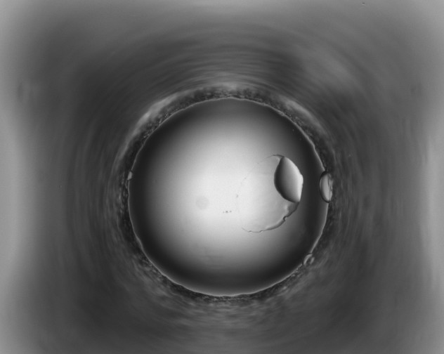 X0000086250776200704051240
