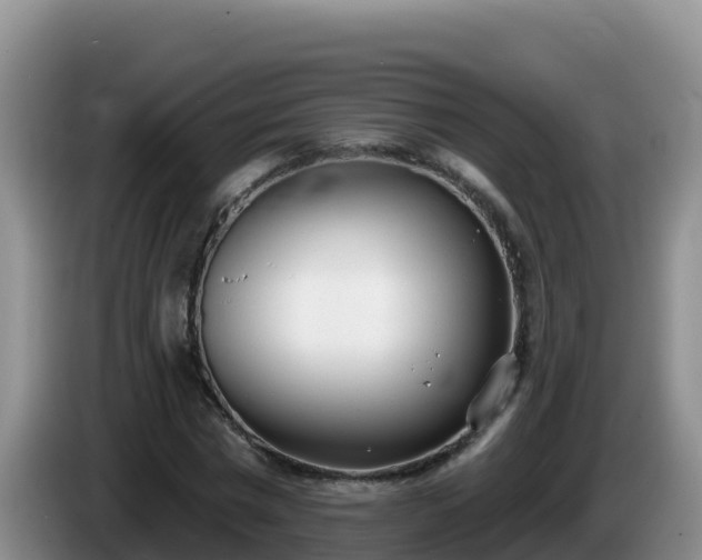 X0000086250777200704051240