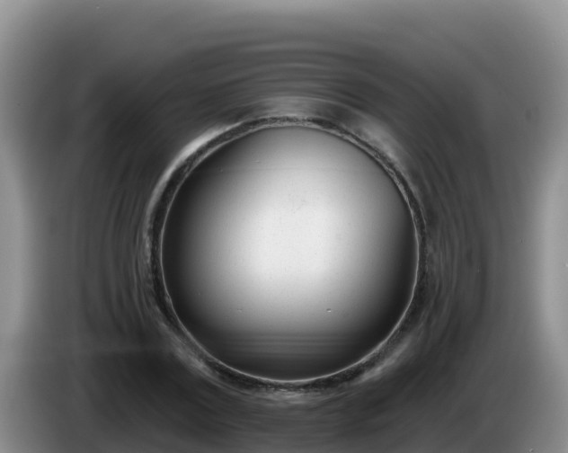 X0000086250779200704051240