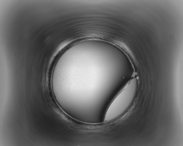 X0000086250780200704051240