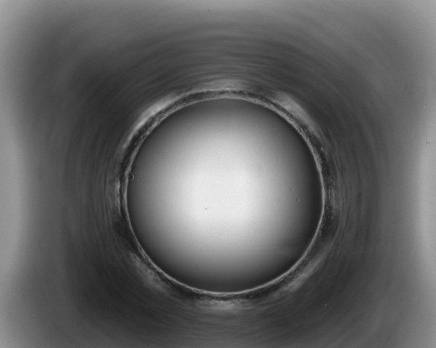 X0000086250781200704051240