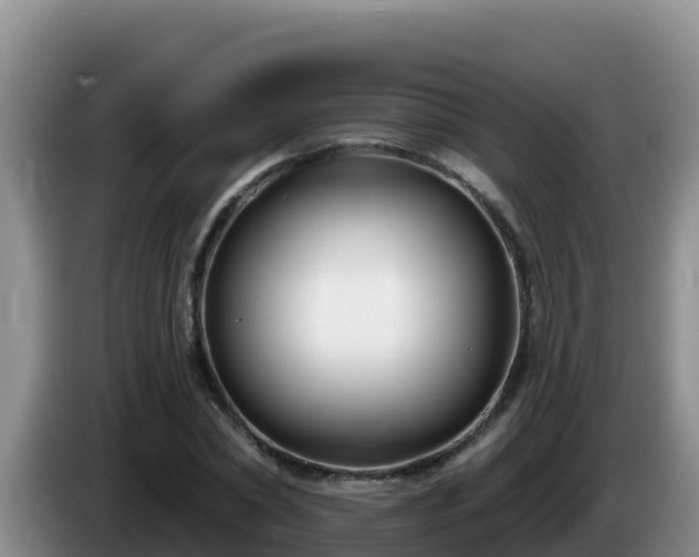 X0000086250782200704051240