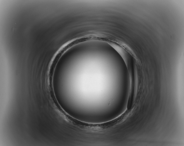 X0000086250784200704051240