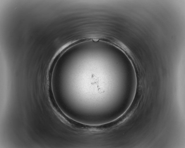 X0000086250787200704051240