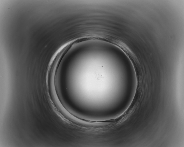 X0000086250788200704051240