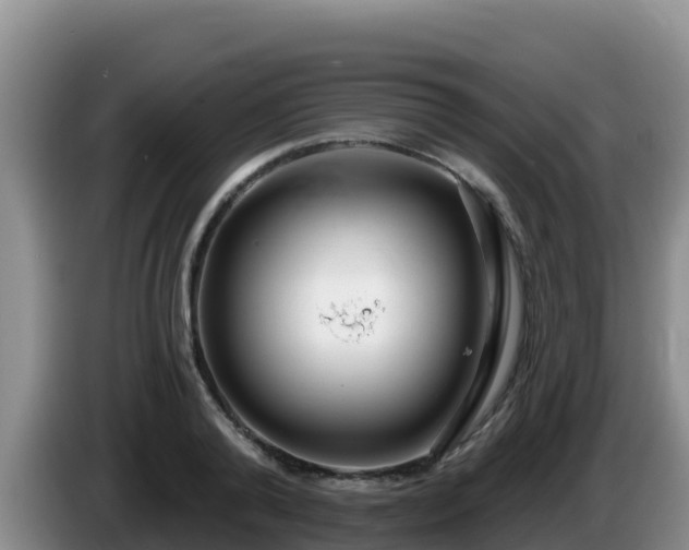 X0000086250792200704051239