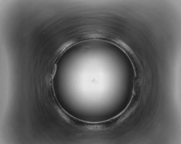X0000086250793200704051239