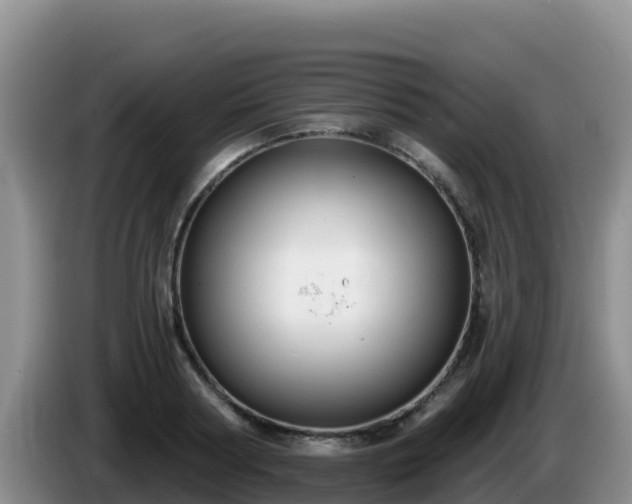 X0000086250794200704051239