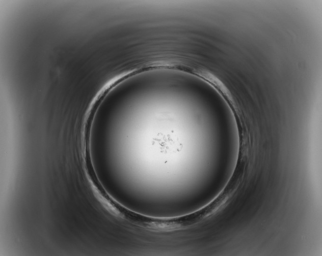 X0000086250795200704051239