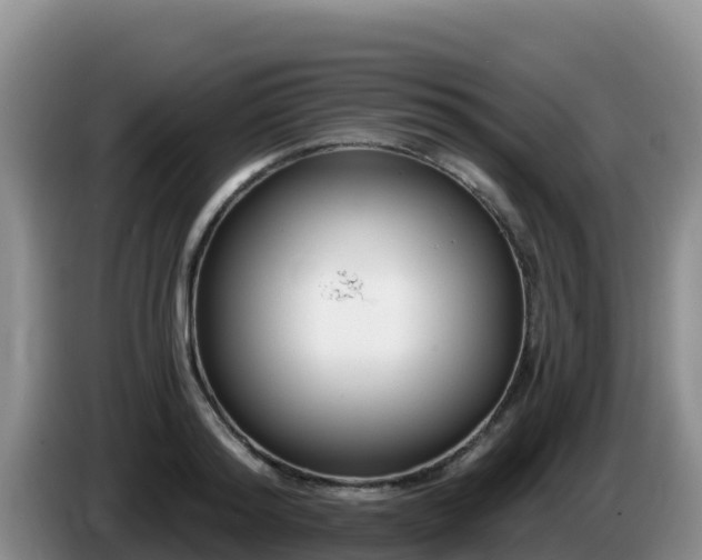 X0000086250796200704051239
