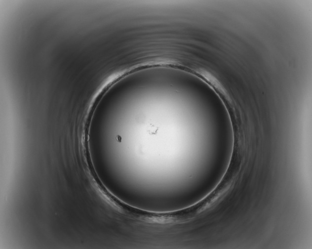 X0000086250797200704051239