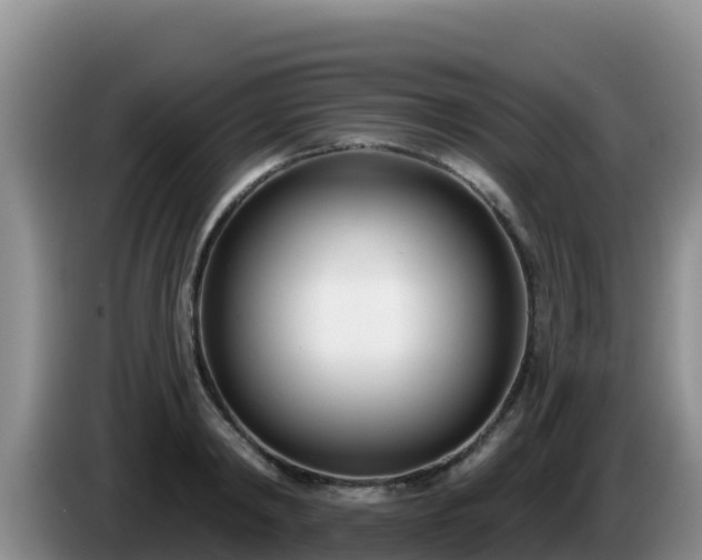 X0000086250798200704051239