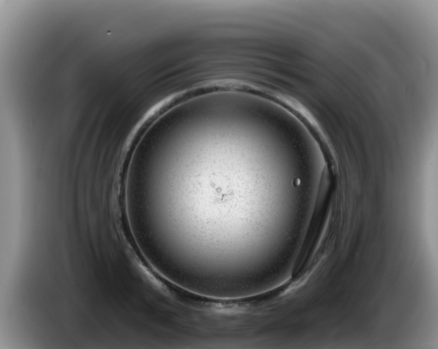 X0000086250799200704051239