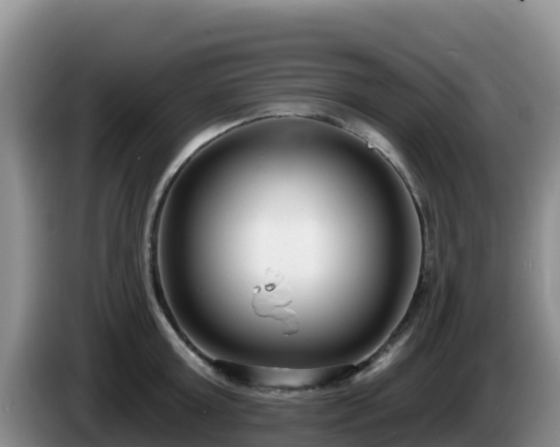 X0000086250803200704051239
