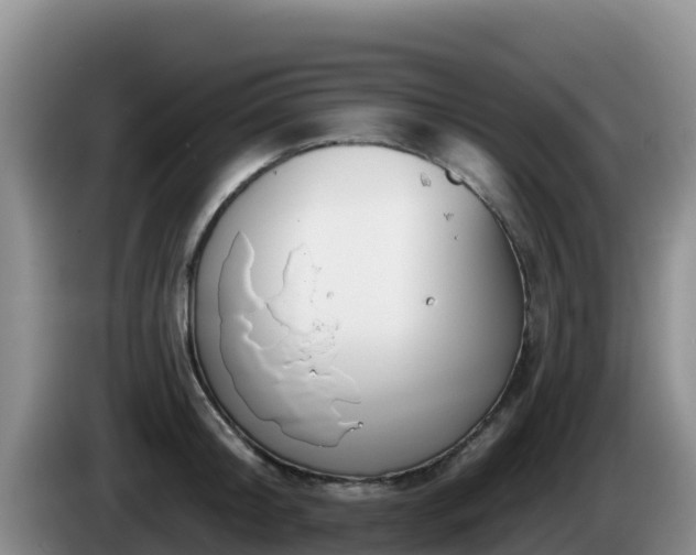 X0000086250804200704051239