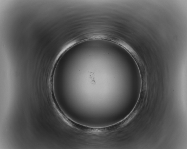 X0000086250806200704051239