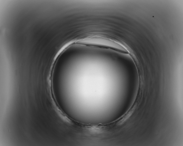 X0000086250814200704051239