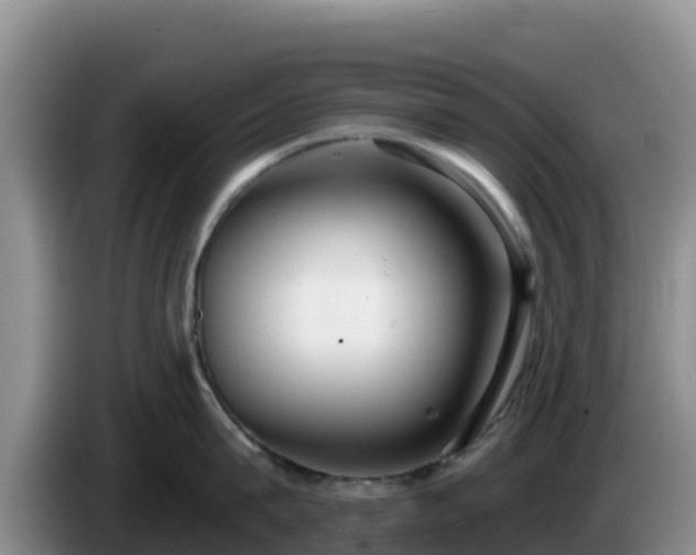 X0000086250815200704051239