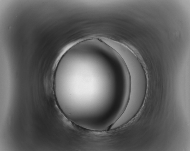 X0000086250816200704051239