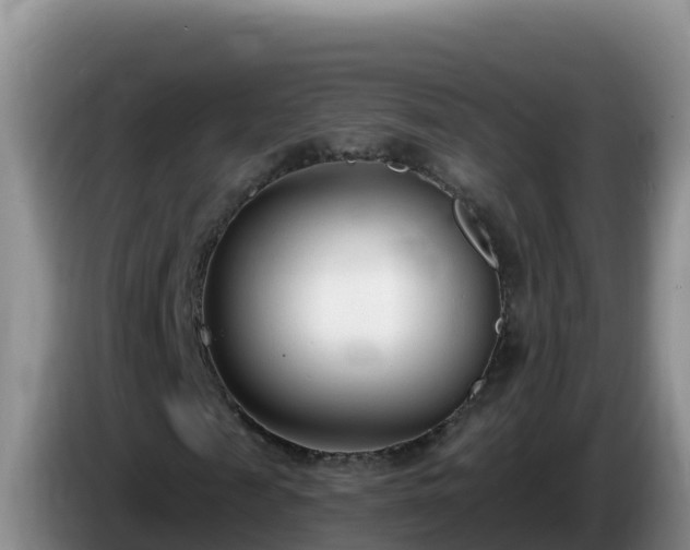 X0000086250817200704051238