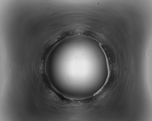 X0000086250818200704051238