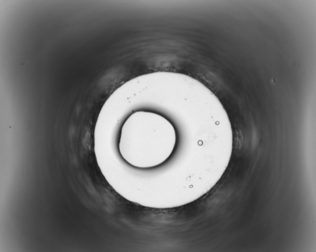 X0000086250820200704051238