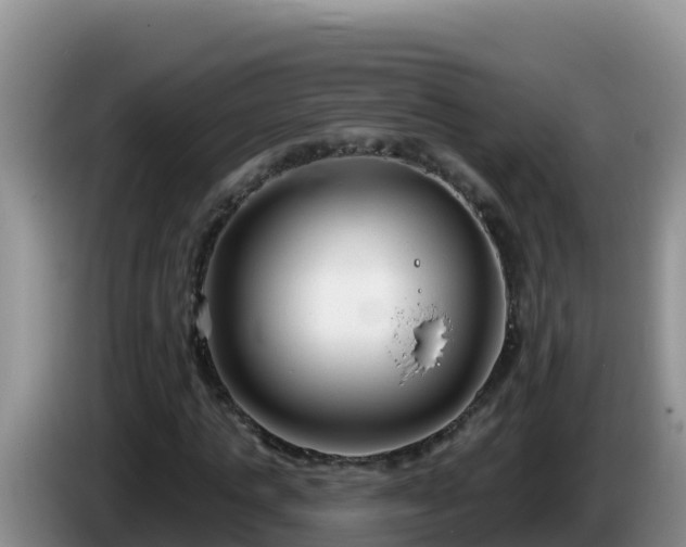 X0000086250821200704051239