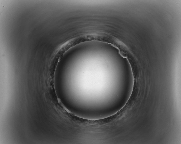 X0000086250822200704051239