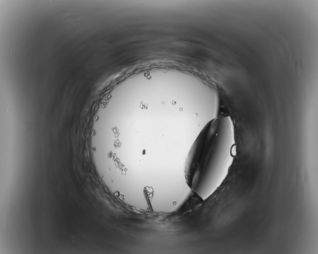 X0000086250824200704051239