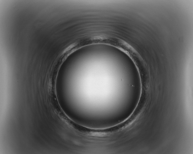 X0000086250825200704051239