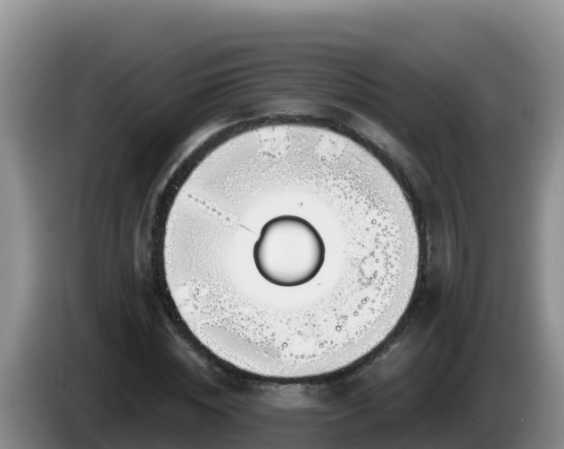 X0000086250828200704051239