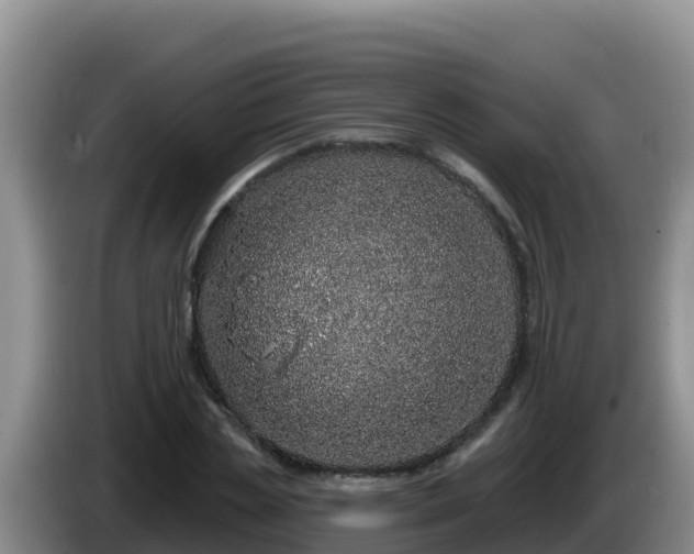 X0000086250829200704051239