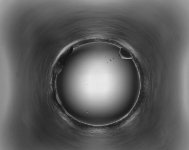 X0000086250830200704051239