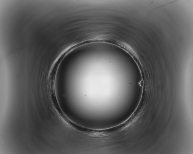 X0000086250835200704051239