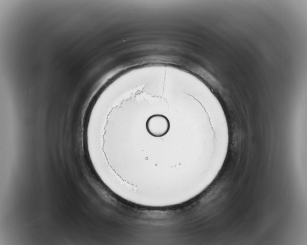 X0000086250836200704051239