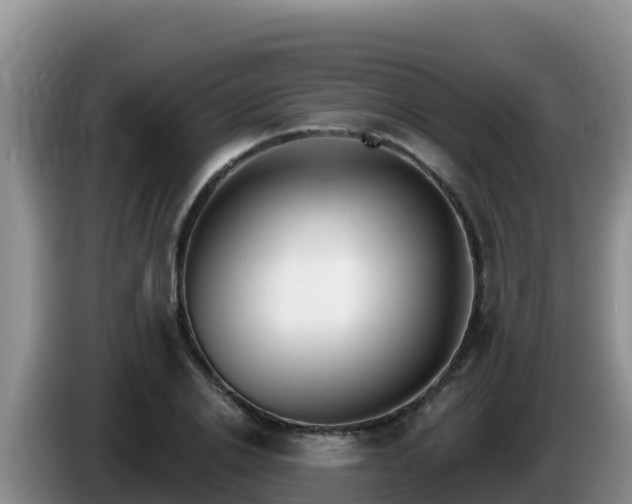 X0000086250838200704051239