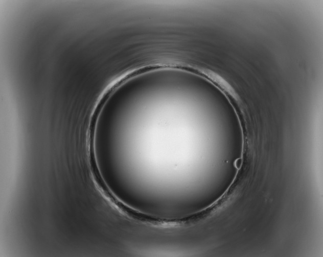 X0000086250839200704051239