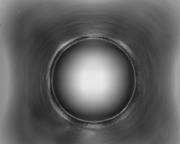 X0000086250840200704051239