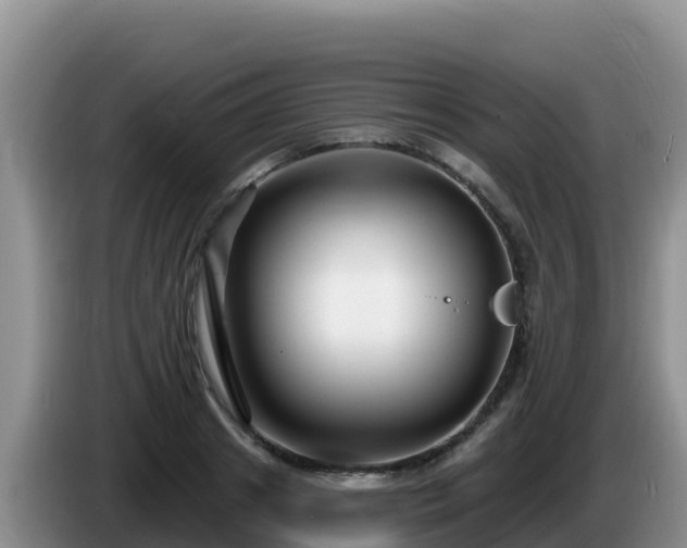 X0000086250841200704051239