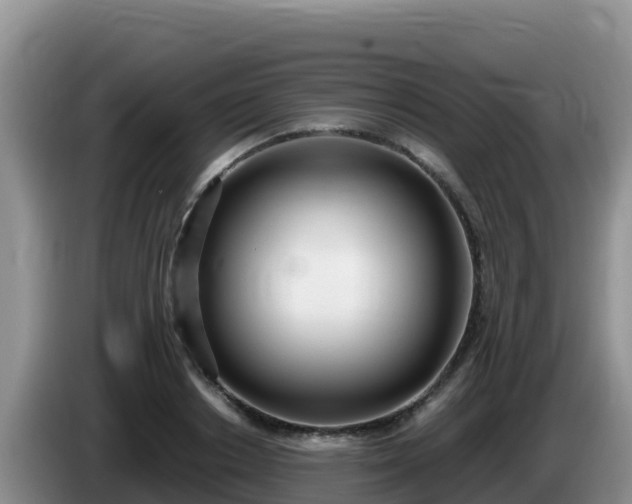 X0000086250842200704051239