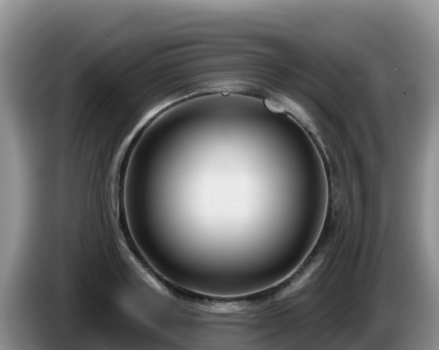 X0000086250843200704051239