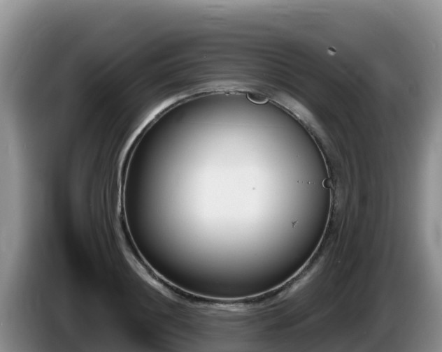 X0000086250844200704051239